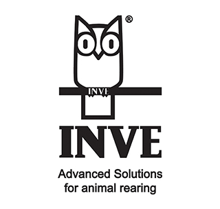 /storage/https://www.invebelgie.be/en/